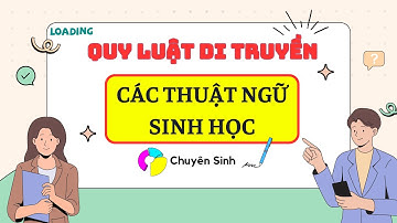 Tổng Hợp Các Khái Niệm Cơ Bản Trong Di Truyền Học | Sinh Học 12