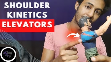 SHOULDER KINETICS- ELEVATORS  (SHOULDER COMPLEX BIOMECHANICS)Physiotherapy Tutorials