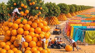How Millions of Orange Peels Become Soft Luxury Clothing | Full Factory Process