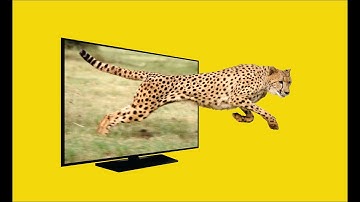 coreldraw tutorial how to make 3d pop out photo effect in coreldraw