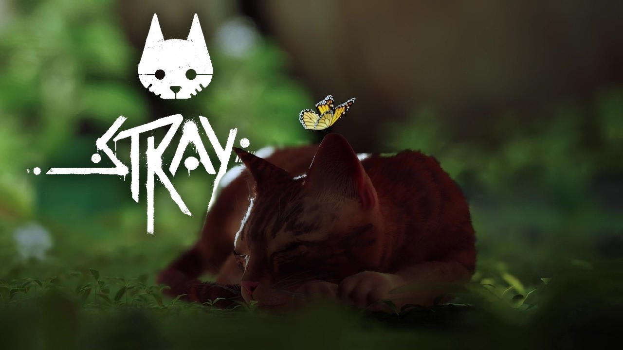 NOTHING BAD CAN HAPPEN TO THIS CAT | Stray Part 1