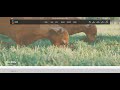 How to: Create a Full Page Slider with Blocksy Advanced Posts Block – No Plugins Needed!