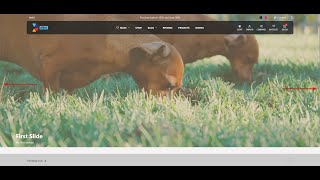How to: Create a Full Page Slider with Blocksy Advanced Posts Block – No Plugins Needed!