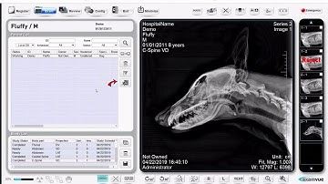 ExamVue Demo for Vet Digital X-Ray