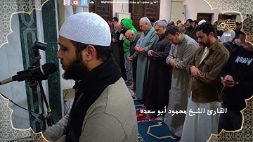 تلاوه خاشعه 31 | للقارئ الشيخ محمود أبو سعده الليله الحادي عشر رمضان 1446