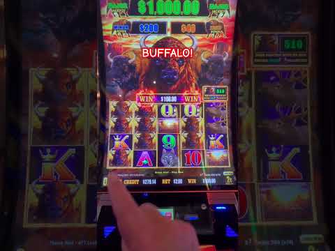 Découvrez SakuraSlots : le meilleur casino en ligne pour les joueurs français