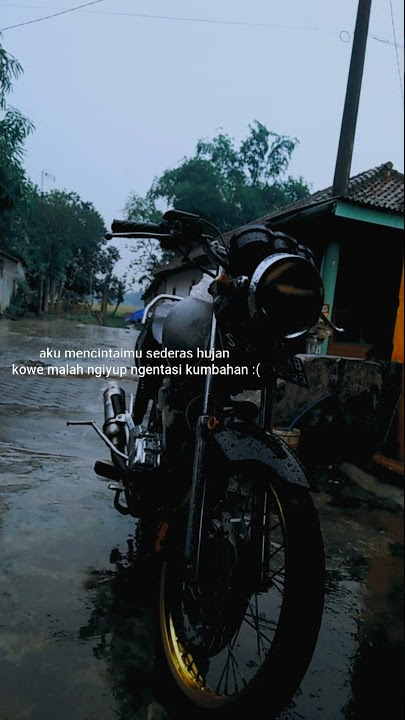 story wa mp primus               #shorts #shortsvideo #herex #storywa30detik #storywa