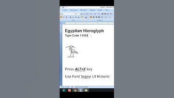 Egyptian Hieroglyph Code 13163  #computerthecourse #computer #microsoftword #msword #shorts