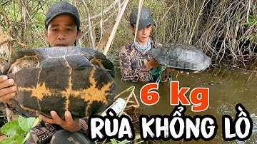 Thăm dớn lần đầu tiên dính rùa Khổng Lồ nặng 6 kg | turtle gửi vào chùa phóng sanh