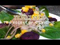 Tiger's Milk Recipe / Leche de Tigre | How to make peruvian Ceviche, tigers milk | Secret of Ceviche