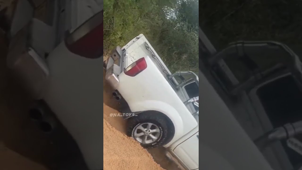 Prepare To Be Stunned By Nissan Navara V6 S Power Shorts