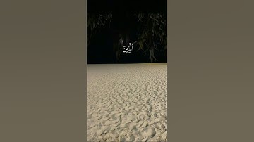 آيات من سورة الرعد بصوت الشيخ أنس لهبوبي || #اكسبلور #قرآن