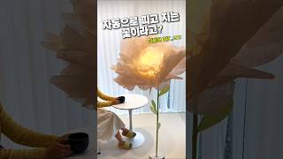 자동으로 피고 지는 꽃이라고? #인테리어 #꿀템 #자동꽃 #꽃 #diy
