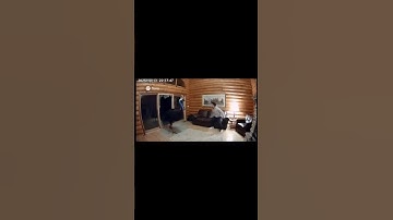 Shocking CCTV: Southern Cassowary Breaks In and Man Confronts Beast #shorts #cctv #trending