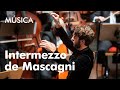 Capture de la vidéo Mascagni: Cavalleria Rusticana (Intermezzo) – Orquestra Gulbenkian, Lorenzo Viotti