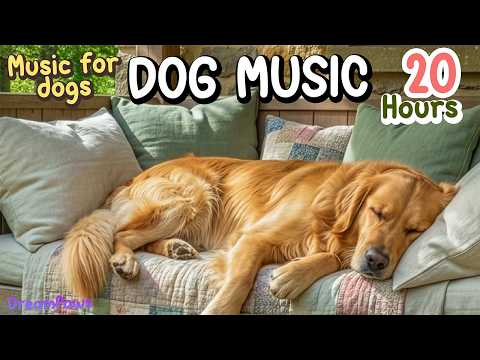 20 Hours of Dog Sleep Music 🐶💖 Deep Sleep, Separation Anxiety Relief & Calming Dog Music 🌈💤