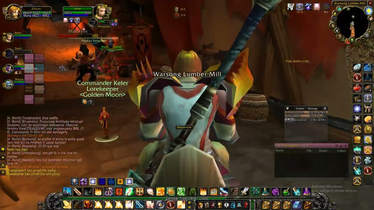 Turtle WOW ,WSG ,retribution paladin - well deserved vIctory for the horde