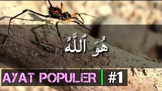 Download Mp3 AYAT POPULER | Sering di Baca Imam Sholat | #1 Gudang lagu Download Mp3 AYAT POPULER | Sering di Baca Imam Sholat | #1