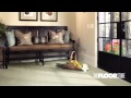 The Floor Store - Commercial The Floor Store - Commercial