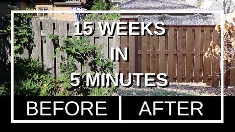 Building a Shadowbox Fence - Timelapse - 4k