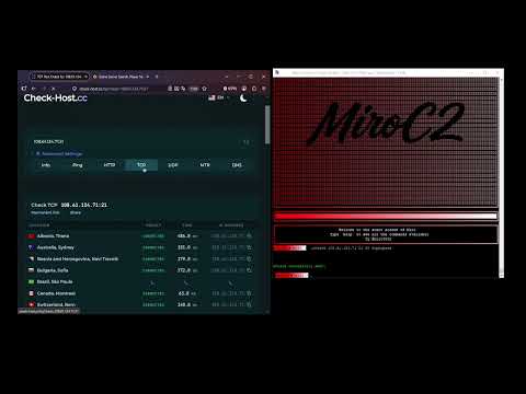 MIRO C2 / API / BOTNET | MIRO C2 VS MINECRAFT SERVER