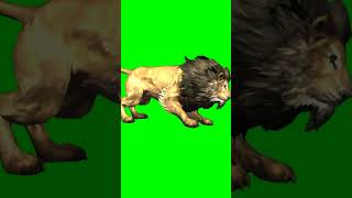 Attacking wild Lion || #cartoon #lion #shorts #greenscreen