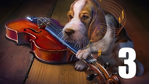 Edge Of Reality 2: Lethal Predictions - Part 3 Let