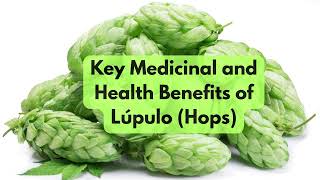 Lúpulo (Hops) - Dr. Sebi-approved Healing Herb for the Nervous System
