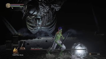 SL1 No rolling/blocking/parrying High Lord Wolnir