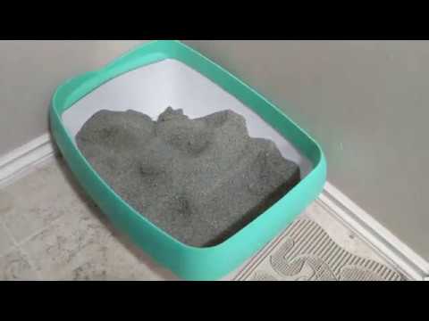 follow-up:-it-works!-luuup-cat-litter-box-with-arm-&-hammer-easy-clean-slide-clumping-litter