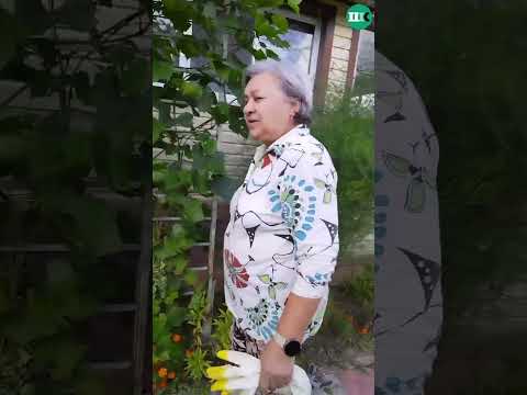 Фирая апа Әкбәрова бакчасында ниләр бар?