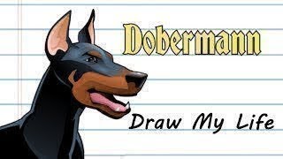 Draw My Life   Dobermann