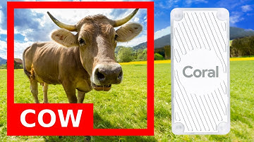 Object detection on Raspberry Pi Usb Coral | Real Time Yolov8 on Edge | License plate detection