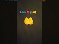 #allah #hazrath #love #allah #dhcp #rzm64