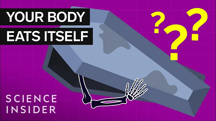 What Happens To Your Body 100 Years After Death - DayDayNews
