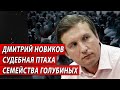 Дмитрий Новиков. Судебная птаха семейства голубиных. | Журналистские расследования Евгения Михайлова