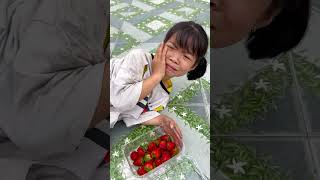 Strawberries🍓 In The Trash And Poor Girl - Do You Help The Poor? 💔#Viral Videos #Short Videos #Ajuda