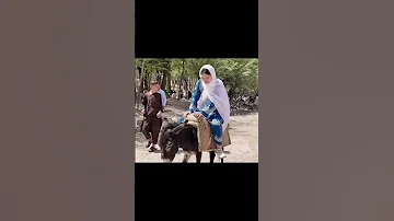 New Best Video 2025 Automobile Indiaafghanistan یارضا مازندران Oldwedding Love 