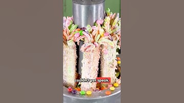 How a Silent Friendship in a Garden Taught Me What Trust Really Means