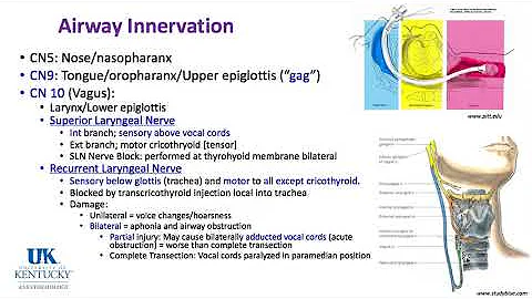 Keyword Review 2019 | Respiratory Anatomy, Physiol...