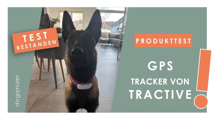 Tractive GPS-Tracker für Katzen - Erziehungshalsband