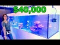 MY NEW $40,000 FISH TANK !!!