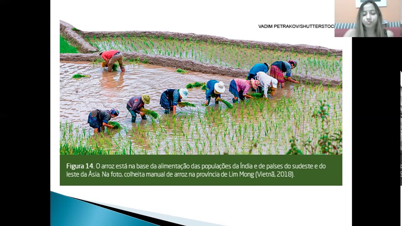 Geografia - aula 02/07 - prof. Eloá