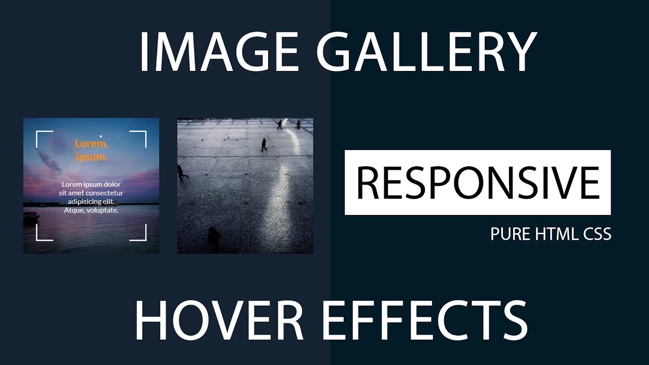 Css Responsive Image Gallery - Css Tutorial - How To Create Responsive ...