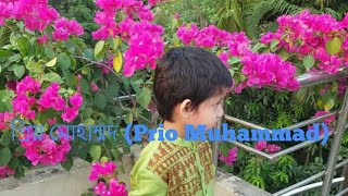 ত্রিভুবনের প্রিয় মোহাম্মদ (Tri vuboner prio Muhammad by Absi) Faria Afroz Vlog .