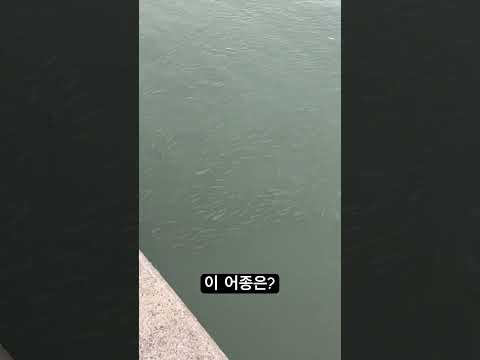2025년 10월 15일