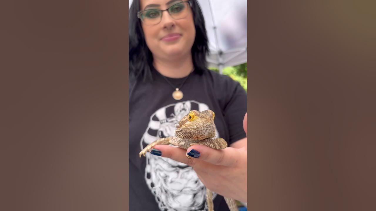 Pet Rock in the Park 2022 YouTube