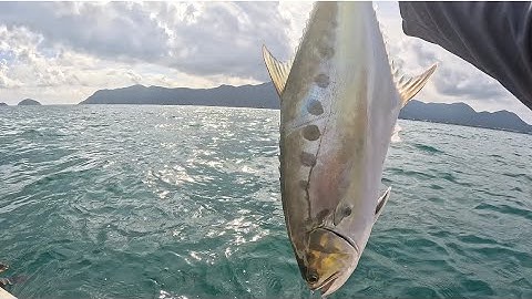 Côn Đảo Fishing, Câu Popping Và Jigging Dính Cá Mè Trang Kéo Quá Đã tay