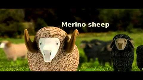 Sample of D&T - Textiles - Fibres & Fabrics Ages 14-16