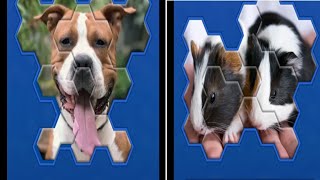 Hexa jigsaw screenshot 3